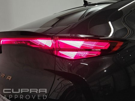 2026 Cupra Tavascan - photo 19