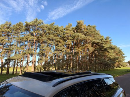 2026 Skoda Kodiaq - photo 46