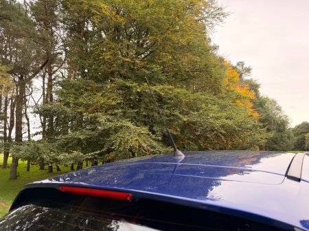2016 Ford Focus - photo 42