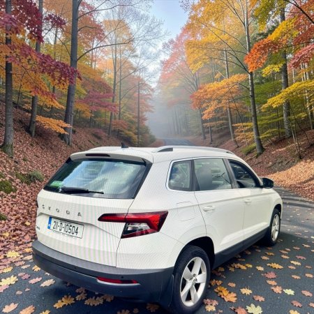 2021 Skoda Karoq - photo 2