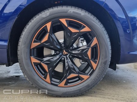 2026 Cupra Terramar - photo 6