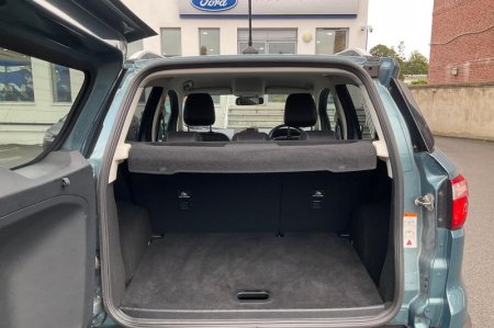 2019 Ford EcoSport - photo 21