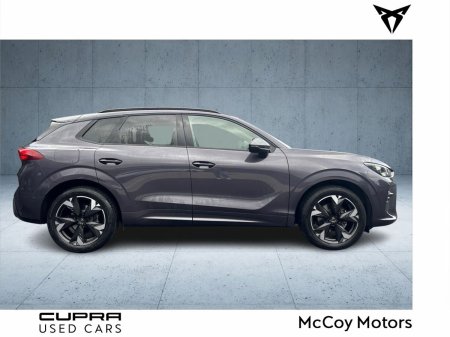 2025 Cupra Terramar - photo 3