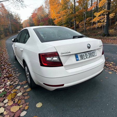 2018 Skoda Octavia - photo 10