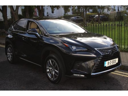 2018 Lexus NX - photo 29