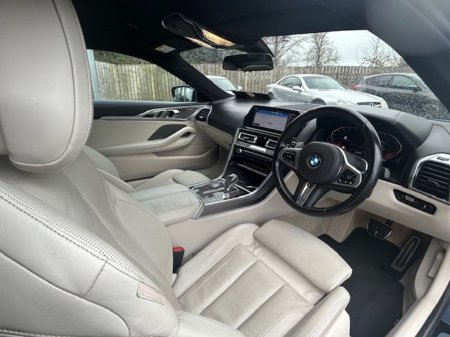 2019 BMW 8-Series - photo 11