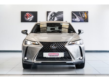 2021 Lexus UX - photo 6