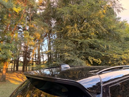2019 Land Rover Discovery Sport - photo 46