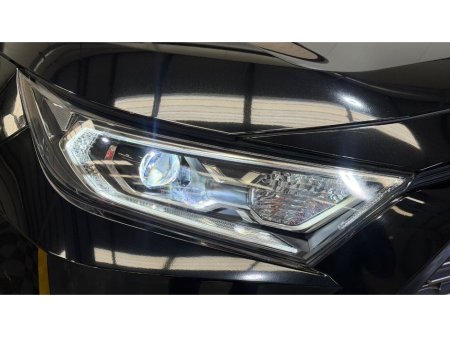 2019 Toyota RAV4 - photo 2