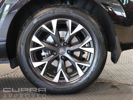 2026 Cupra Terramar - photo 6
