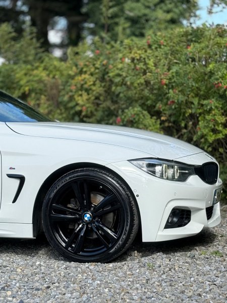 2019 BMW 4-Series - photo 37