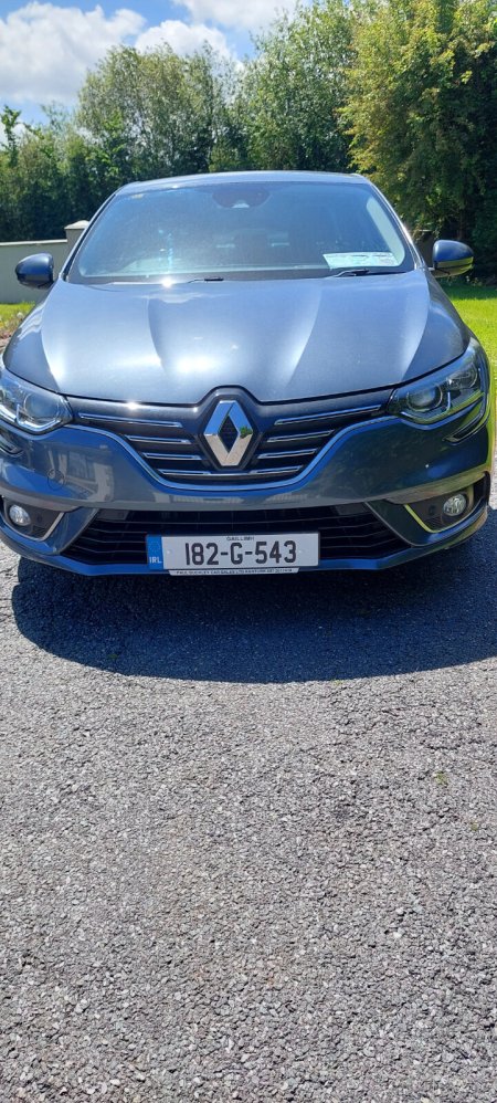 2018 Renault Megane - photo 6