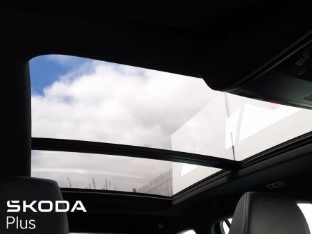 2024 Skoda Kodiaq - photo 21