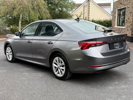 2023 Skoda Octavia - photo 5
