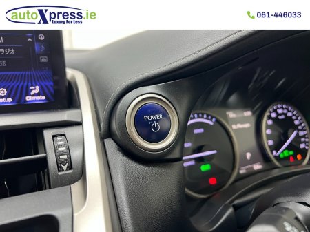 2020 Lexus NX - photo 44