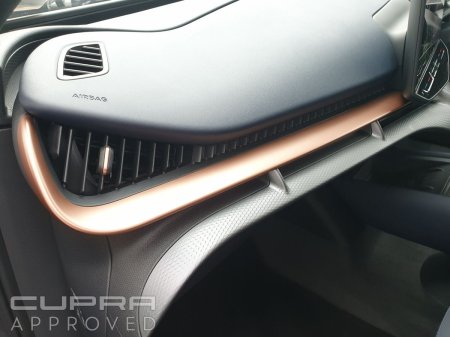 2026 Cupra Tavascan - photo 14