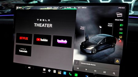 2024 Tesla Model 3 - photo 53