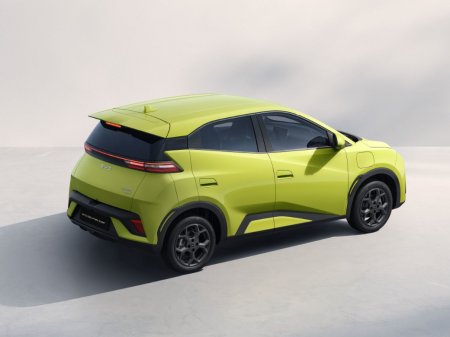 2026 BYD DOLPHIN SURF - photo 17