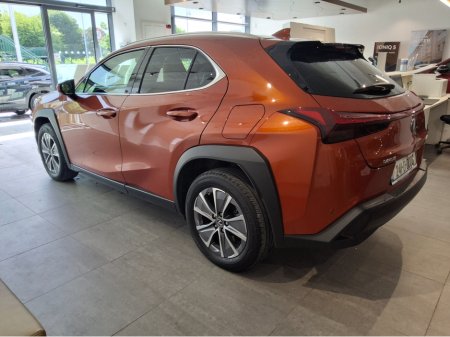 2024 Lexus UX - photo 3
