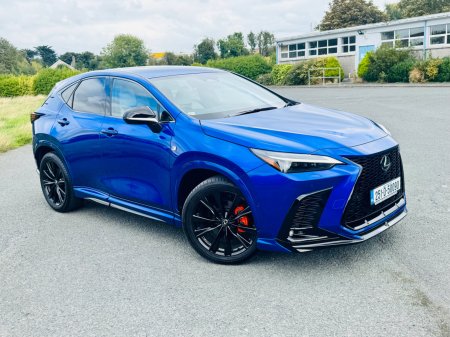 2025 Lexus NX - photo 6