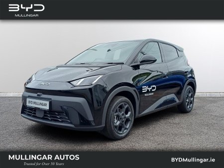 2026 BYD DOLPHIN SURF - photo 13