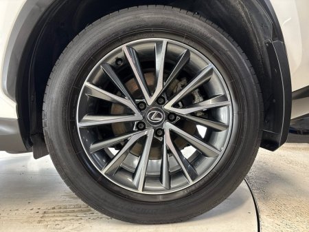 2024 Lexus NX 450h+ - photo 7