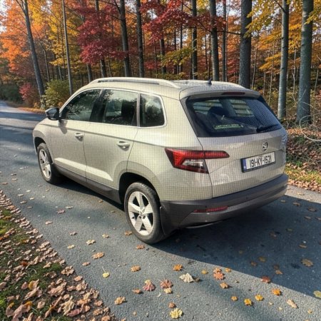 2019 Skoda Karoq - photo 11