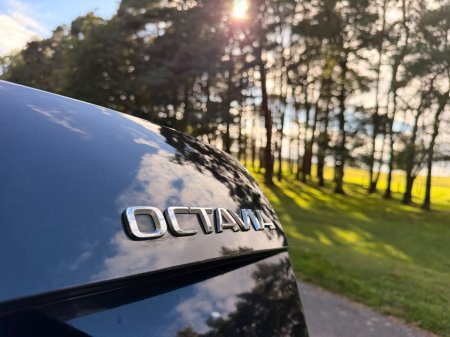 2017 Skoda Octavia - photo 34