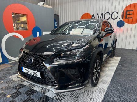 2020 Lexus NX - photo 6