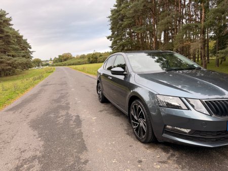 2018 Skoda Octavia - photo 39