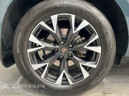 2026 Cupra Terramar - photo 6