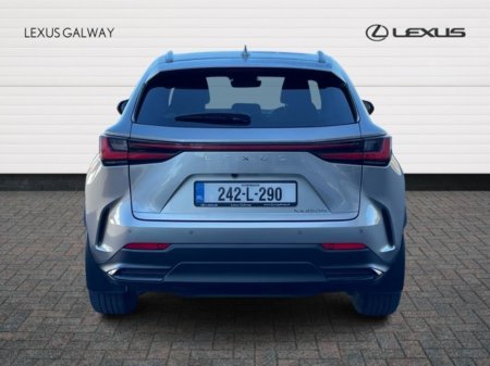2024 Lexus NX - photo 5
