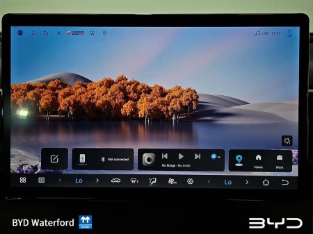 2026 BYD SEALION 5 - photo 13