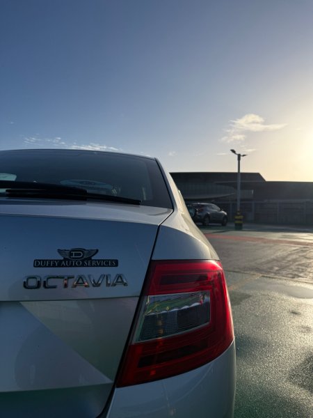 2016 Skoda Octavia - photo 16