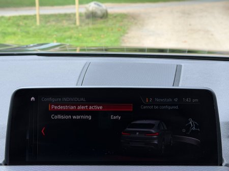 2019 BMW X4 - photo 49