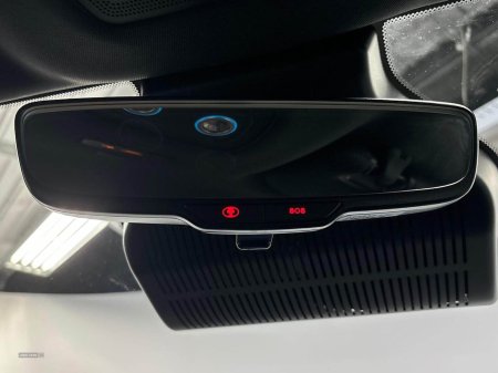 2025 BYD DOLPHIN - photo 14