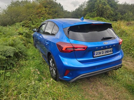 2023 Ford Focus - photo 6