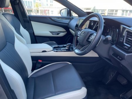 2024 Lexus NX - photo 7