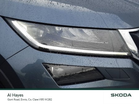 2021 Skoda Kodiaq - photo 15