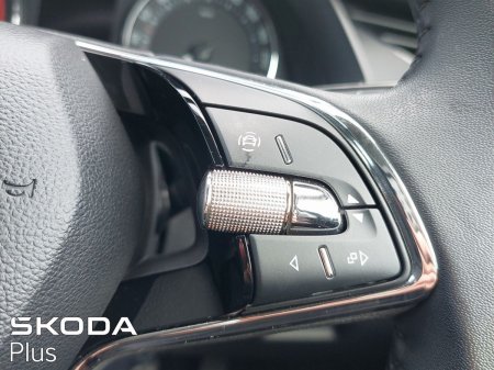 2024 Skoda Octavia - photo 62
