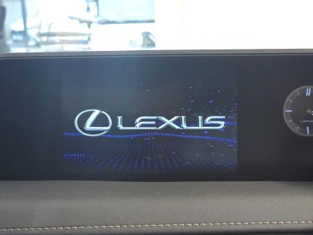 2021 Lexus UX - photo 11