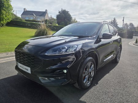 2024 Ford Kuga - photo 3