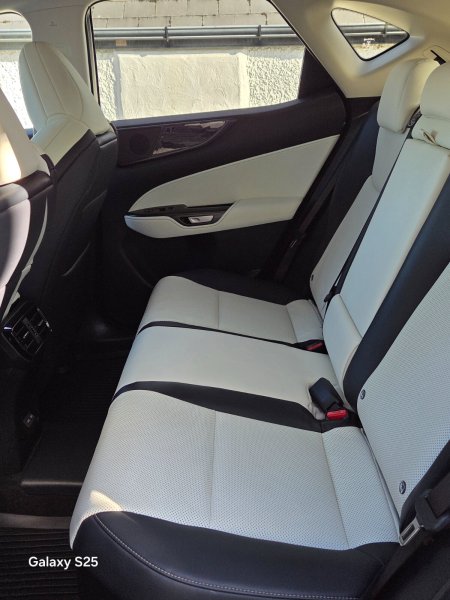2025 Lexus NX - photo 15