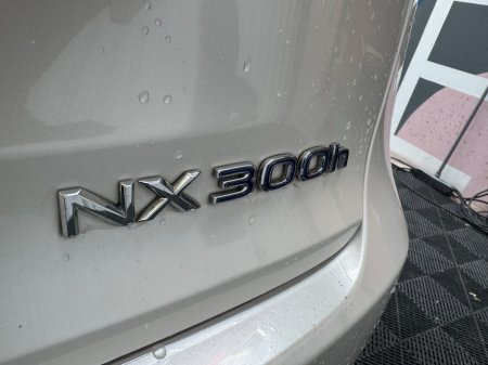 2019 Lexus NX - photo 9