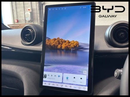 2026 BYD DOLPHIN - photo 12