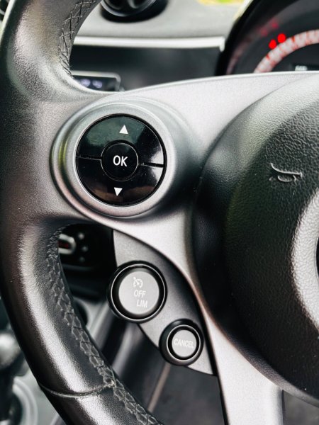 2017 Smart Forfour - photo 12