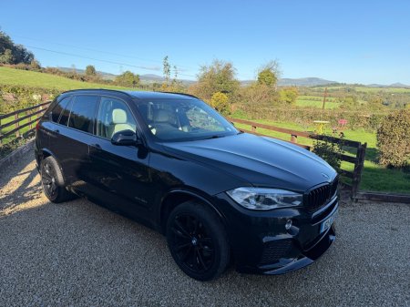 2016 BMW X5 - photo 8