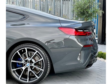 2019 BMW 8-Series - photo 8