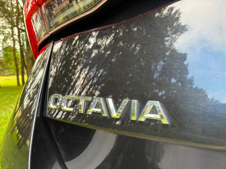 2021 Skoda Octavia - photo 20