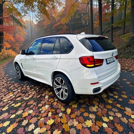 2019 BMW X5 - photo 2